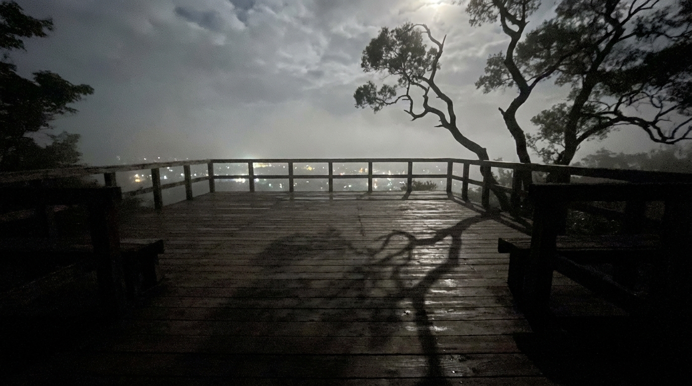 高知県 心霊スポット 五台山公園（高知市）