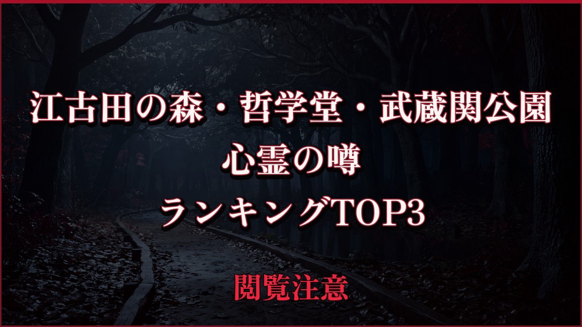 【2026年最新】江古田の森・哲学堂・武蔵関公園の心霊の噂ランキングTOP3